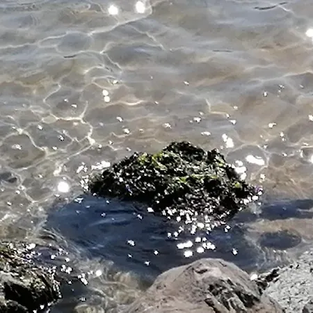 Casarza בית הארחה 4*