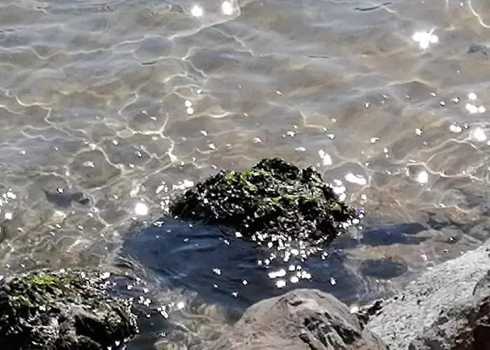 Casarza Pensjonat 4*