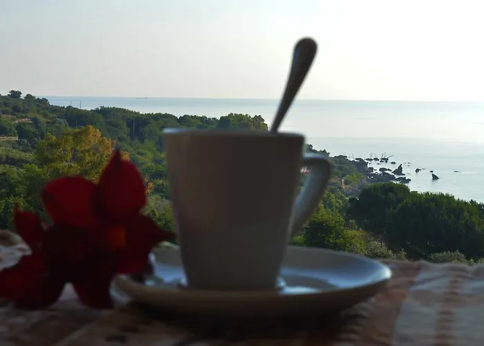 Casarza Casa de hóspedes